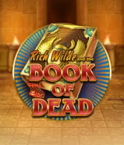 Embark on the thrilling world of Book of Dead by Play'n GO, presenting vivid graphics of Rich Wilde’s adventurous journey through ancient Egyptian tombs and artifacts. Discover lost riches with captivating mechanics like free spins, expanding symbols, and a gamble option. Ideal for adventure enthusiasts with a desire for unearthing secrets.